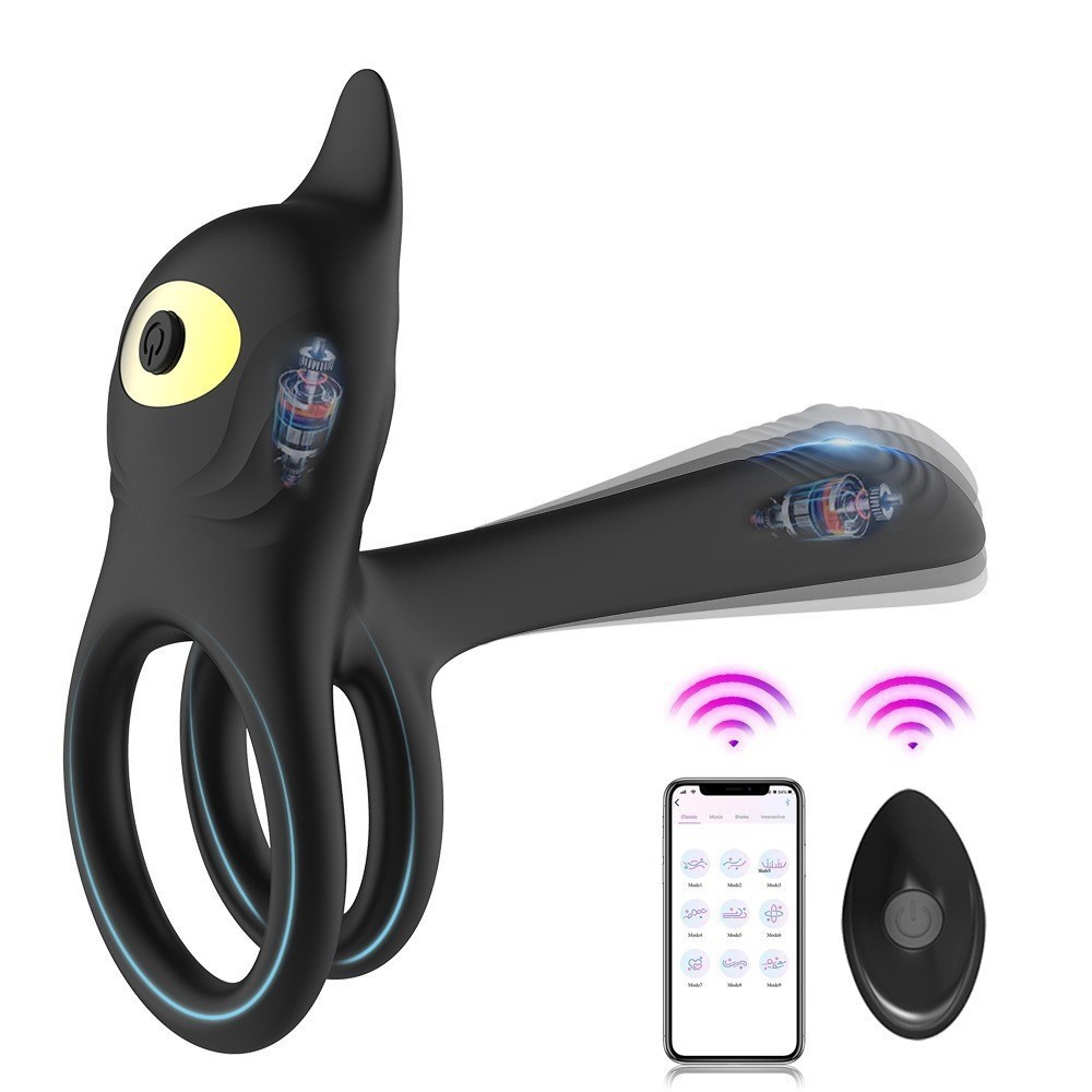 Remote Dual-Motor Ring & Plug